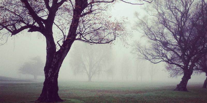 高考英语完形填空语境逻辑破解法：从词汇复现到情感线索追踪